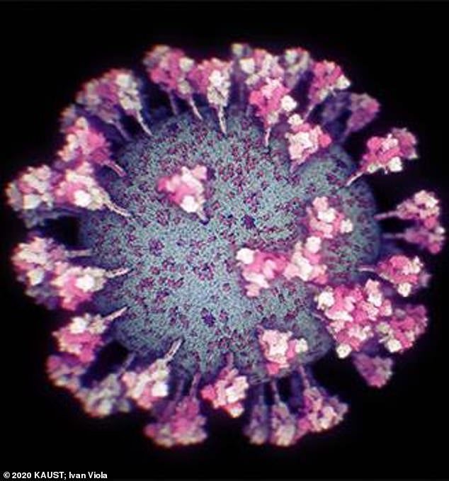 Ученые создали точнейшую 3D-модель коронавируса (фото, видео)