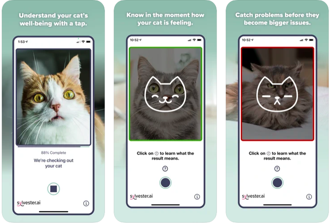 В Канаде разработали приложение, которое благодаря нейросети определяет эмоциональное состояние кошек