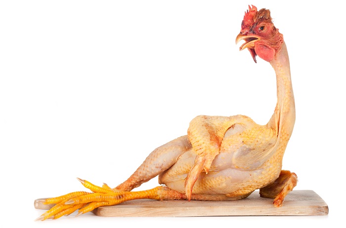 6 мифов о домашней курятине